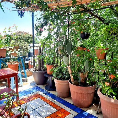 La Terraza Del Pochote オアハカ州 エクステリア 写真