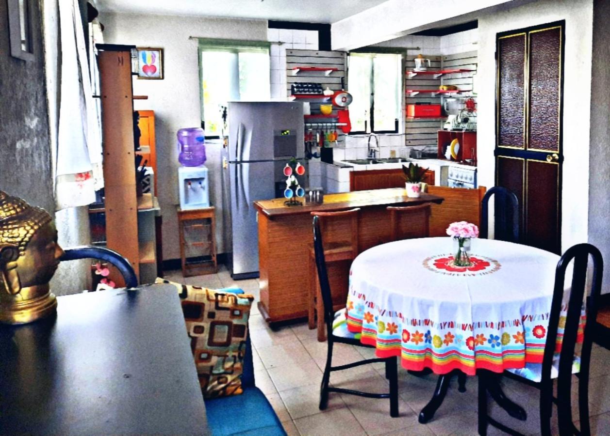 La Terraza Del Pochote オアハカ州 エクステリア 写真