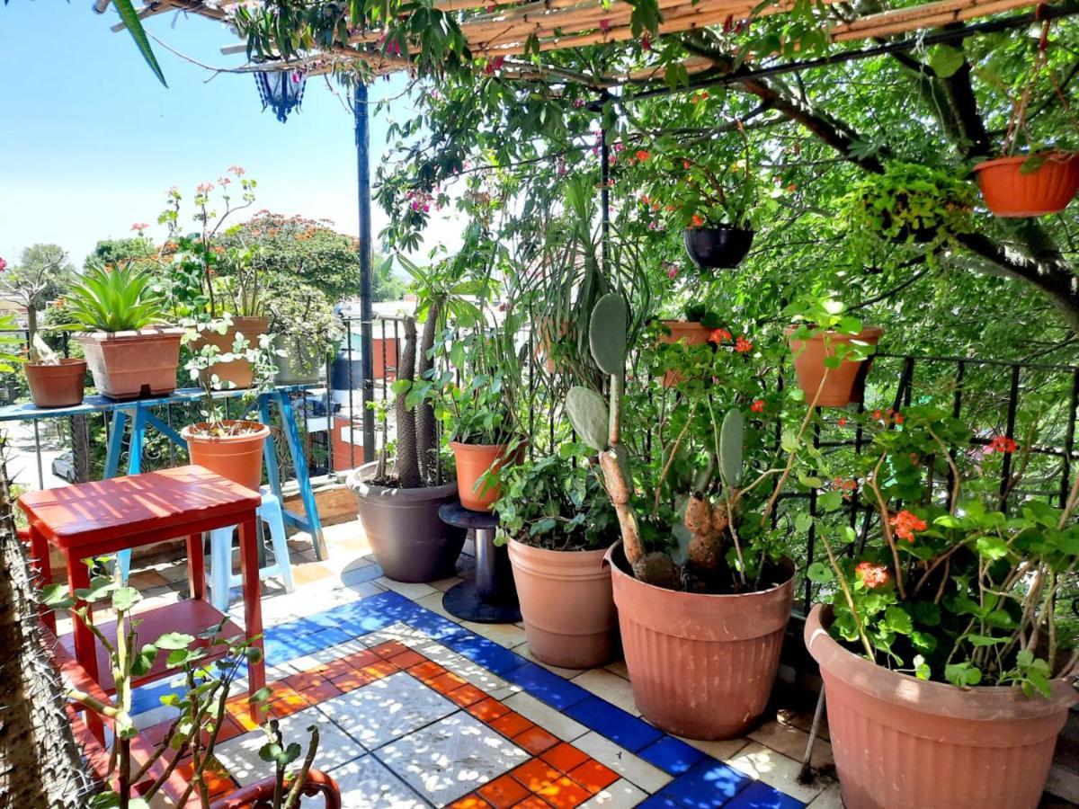 La Terraza Del Pochote オアハカ州 エクステリア 写真